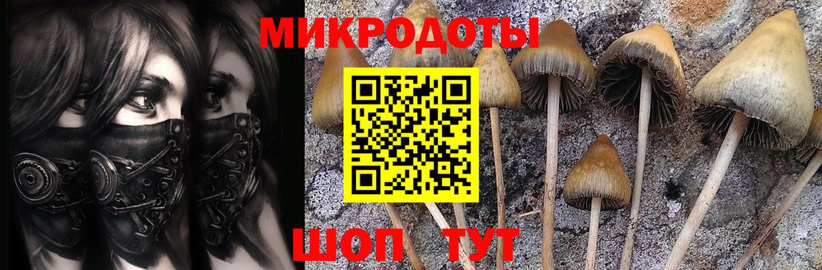 Фролово  Галлюциногенные грибы Psilocybine cubensis  Псилоцибиновые грибы ЛСД  Вход с VPN 